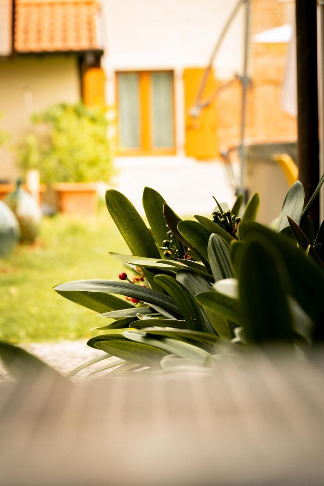 Agriturismo Podere Nigriano Salò Zewnętrze zdjęcie